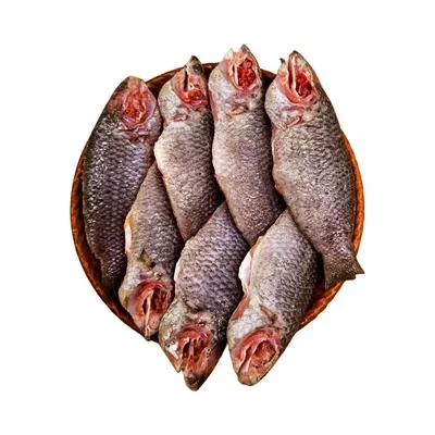 Premium Koi Fish Medium (7-9 pcs) ±30 gm 500 gm