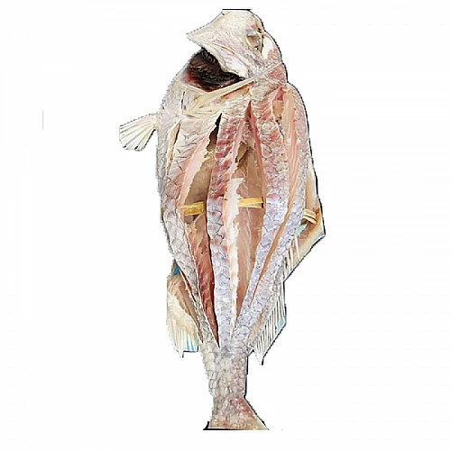 Koral Dried Fish (কোরাল শুটঁকি)-500 Gm