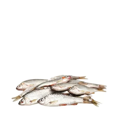 Puti Fish ±15 gm 250 gm