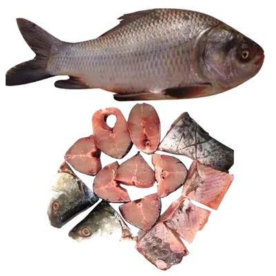 Catla Fish After Cutting ±70 gm 1.5 kg