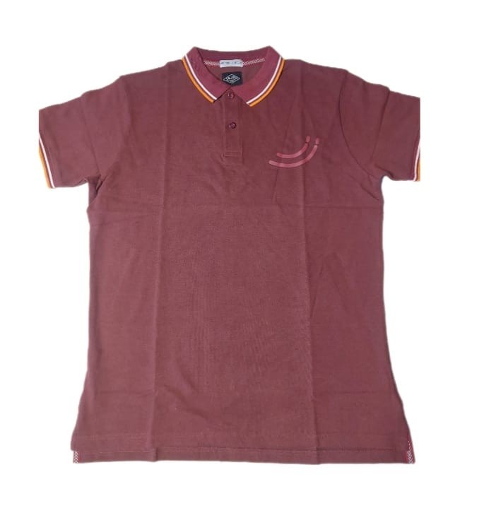 Men's polo shirt