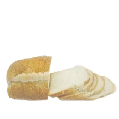 Sugar Free Bread Special 300 gm