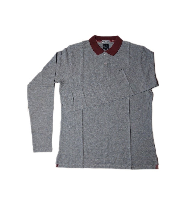 Men's polo shirt