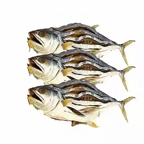 Khaas Food Organic Surma Dry Fish-500 Gm